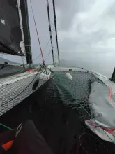 Thumbnail von Shuttleworth 39 Morpheus