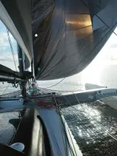 Thumbnail von Shuttleworth 39 Morpheus