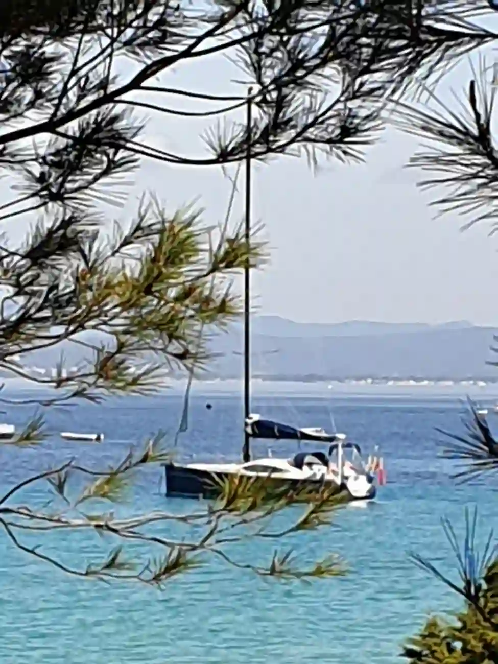 Thumbnail von Southerly 46 RS SHEWOLF