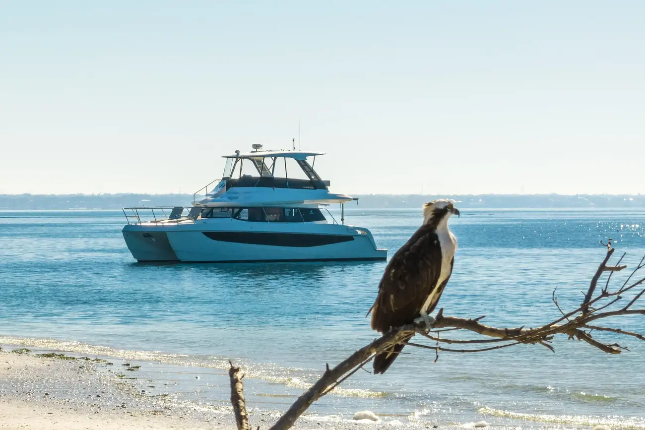 Aquila 42 Coupe AQUILA 42