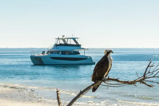 Aquila 42 Coupe AQUILA 42