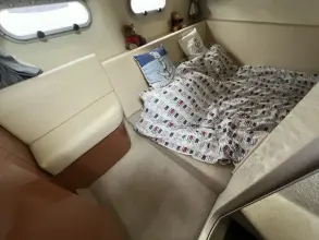 Thumbnail von Sealine F34 Sunshine Dream