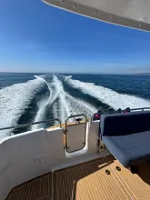 Thumbnail von Nimbus 365 Coupe