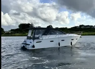 Thumbnail von Sealine SC35 G-Whizz