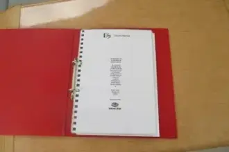 Thumbnail von Sealine F33 Flybridge Miss Sunshine