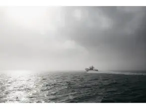 Thumbnail von Arksen 10.8 Custom Trophy