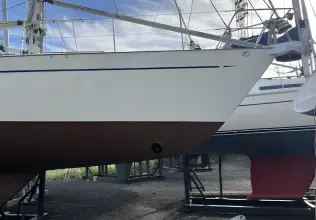 Thumbnail von Bowman 40 Silver Y