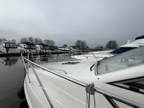 Thumbnail von Sealine F33 Virtual Reality