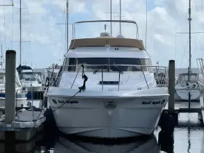 Thumbnail von Sealine T51 Nauti Impulse