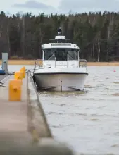 Thumbnail von Nord Star 31+