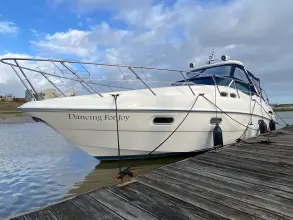 Thumbnail von Sealine S38