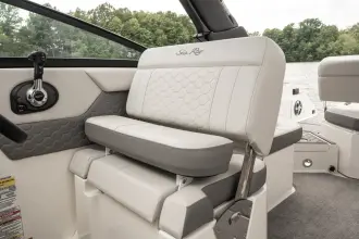 Thumbnail von Sea Ray SDX 250