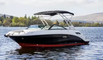 Thumbnail von Sea Ray SDX 250