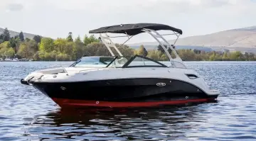Thumbnail von Sea Ray SDX 250