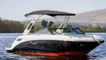 Thumbnail von Sea Ray SDX 250