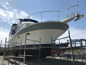 Thumbnail von Trader 445 Signature Northwestern