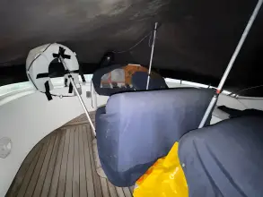 Thumbnail von Sealine F43 Starbay