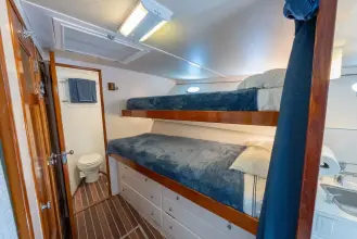 Thumbnail von Trumpy 62