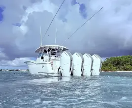 Thumbnail von Scout 400 LXF