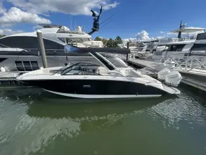 Thumbnail von Sea Ray SDX 290 Hors-Bord