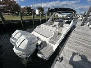 Thumbnail von Sea Ray SDX 290 Hors-Bord