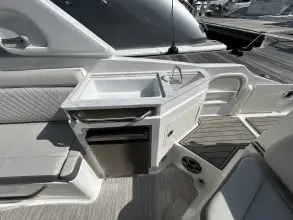 Thumbnail von Sea Ray SDX 290 Hors-Bord