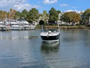 Thumbnail von Sea Ray SDX 290 Hors-Bord