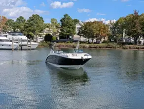 Thumbnail von Sea Ray SDX 290 Hors-Bord