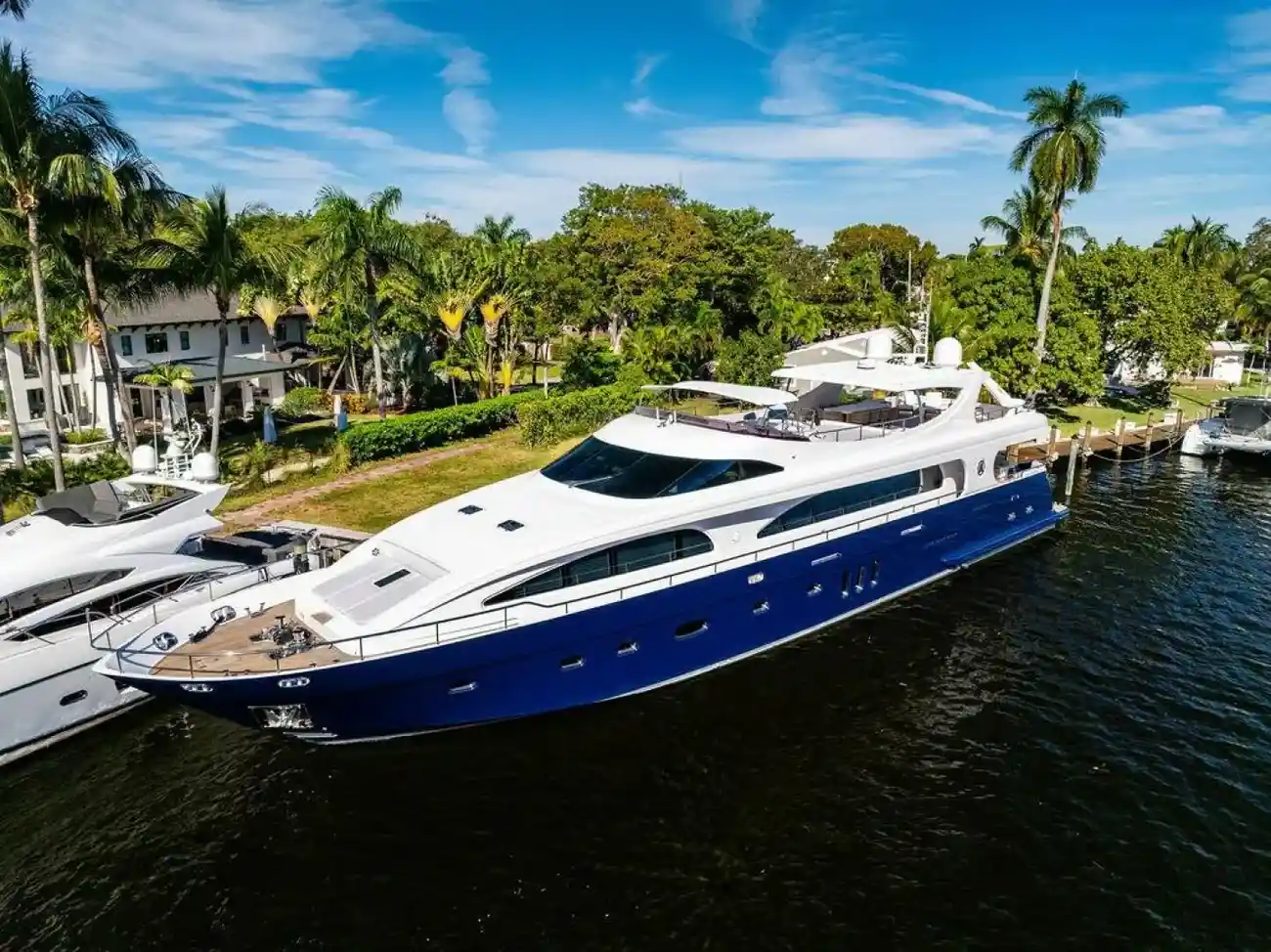 Mengi Yay 115 MY PANACEA