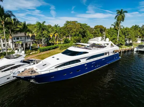 Mengi Yay 115 MY PANACEA