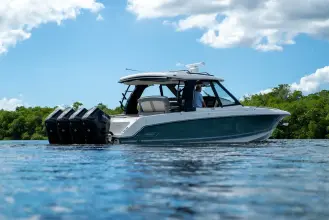 Thumbnail von Boston Whaler 380 Realm