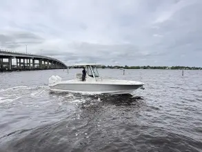 Thumbnail von Boston Whaler 280 Dauntless