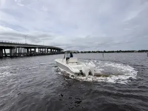 Thumbnail von Boston Whaler 280 Dauntless