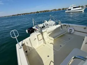 Thumbnail von Sabre 42 Lucky Chicklette