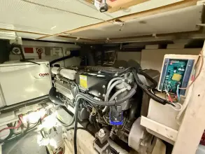 Thumbnail von Sabre 42 Lucky Chicklette