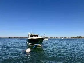 Thumbnail von Sabre 42 Lucky Chicklette