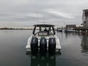 Thumbnail von Boston Whaler 350 Realm