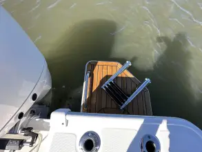 Thumbnail von Boston Whaler 210 Montauk