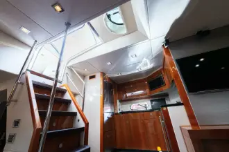 Thumbnail von Sunseeker Predator 60 City Life