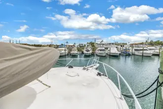 Thumbnail von Viking 72 Enclosed Bridge Reel Blonde