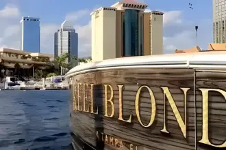 Thumbnail von Viking 72 Enclosed Bridge Reel Blonde