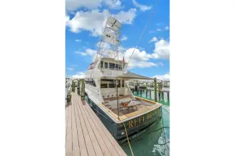 Thumbnail von Viking 72 Enclosed Bridge Reel Blonde