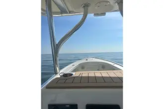 Thumbnail von Custom Dominion 23 Tina Colada