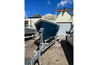 Thumbnail von Custom Dominion 23 Tina Colada