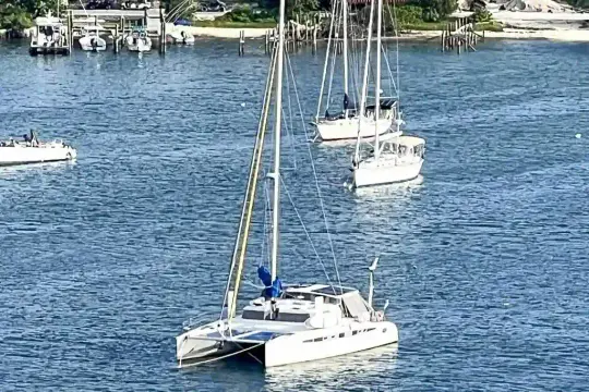 Dolphin 450 Miss Roxy