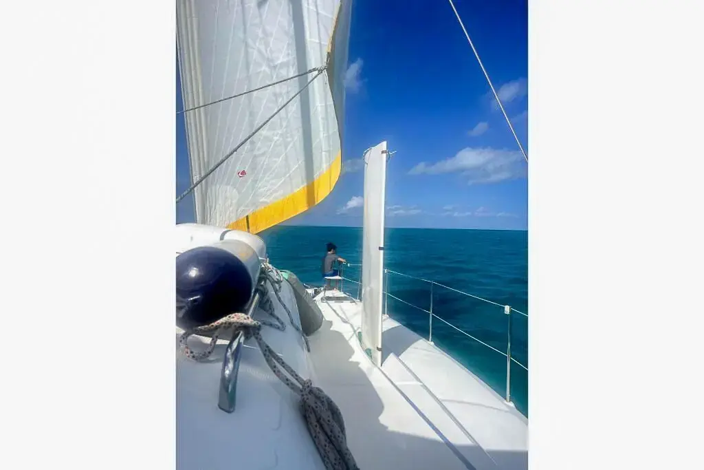 Thumbnail von Dolphin 450 Miss Roxy