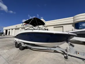 Thumbnail von Sea Ray SPX 210 Außenborder