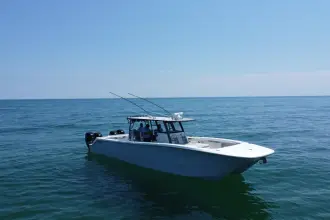 Thumbnail von Invincible 46 Catamaran REEL DEPLOYMENT