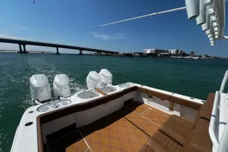 Thumbnail von Invincible 46 Catamaran