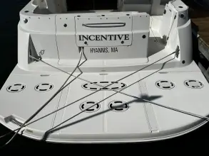 Thumbnail von Sea Ray 47 Sedan Bridge